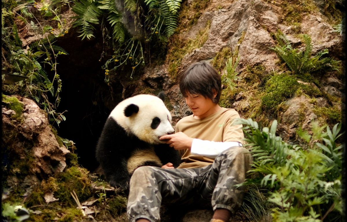 Panda a já