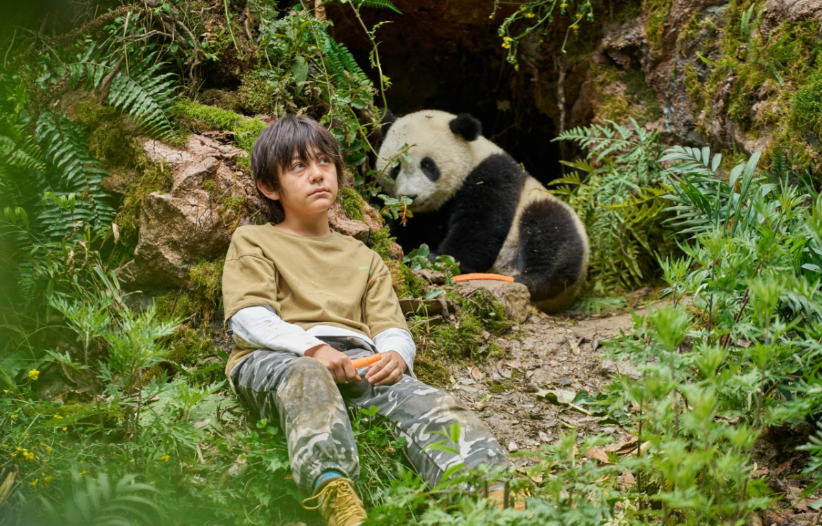 Panda a já