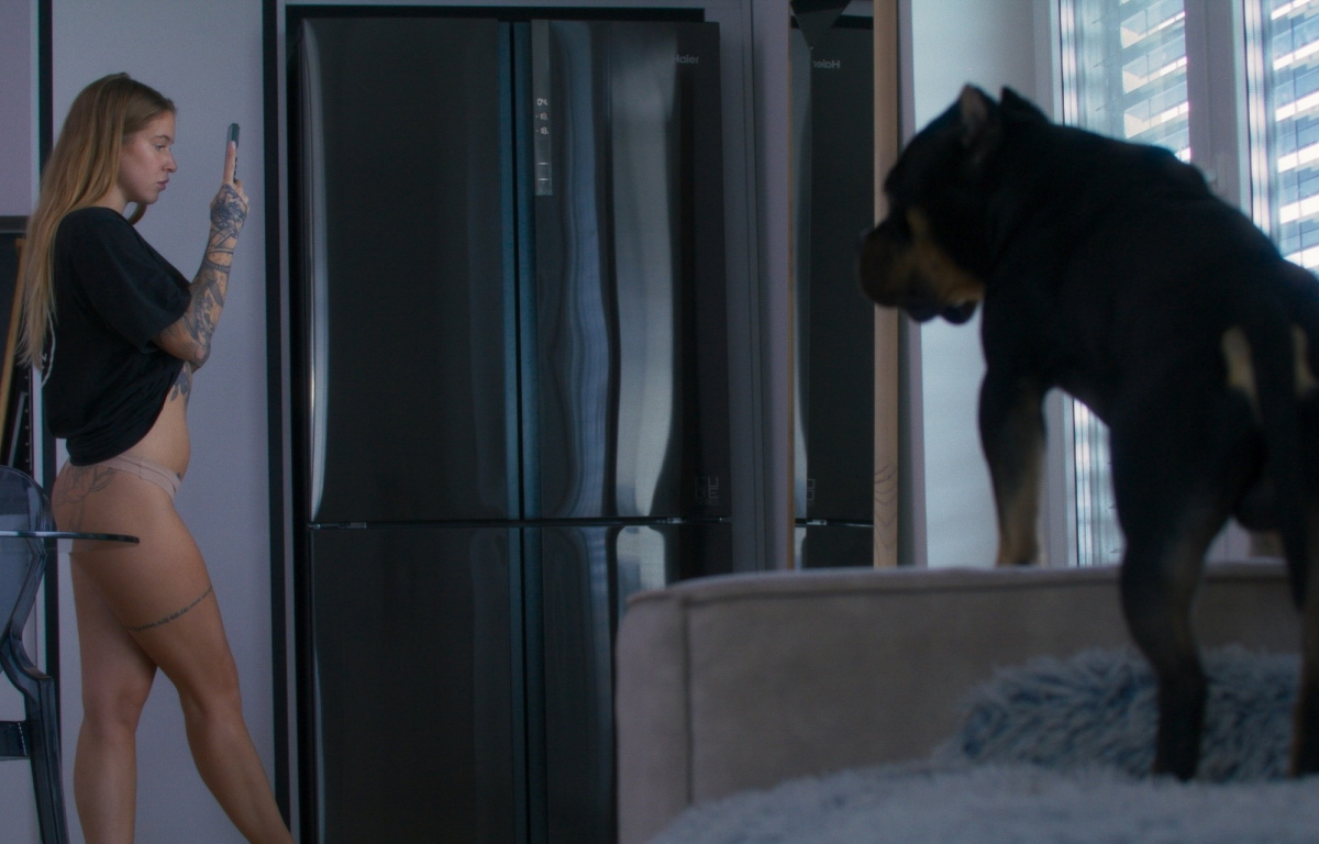 Virtuální přítelkyně