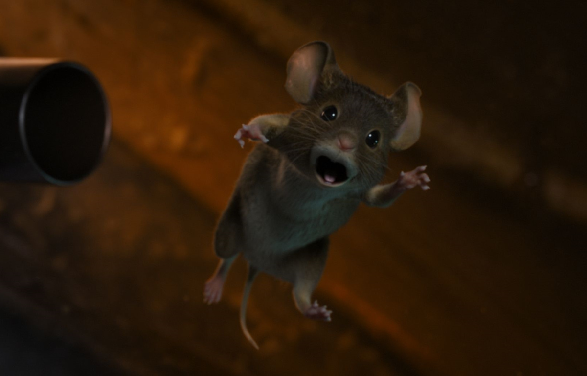 Myši v akci: Vánoční past