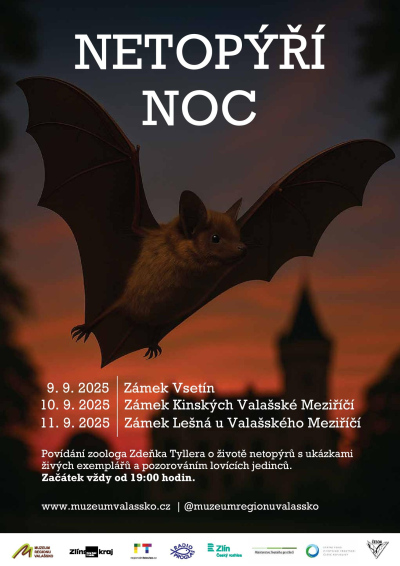 Netopýří noc