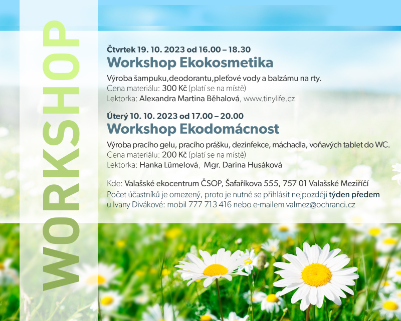Workshop Ekokosmetika/Ekodomácnost
