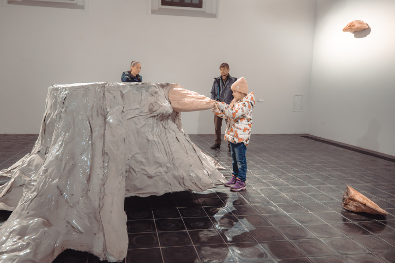 Komentovaná prohlídka výstav