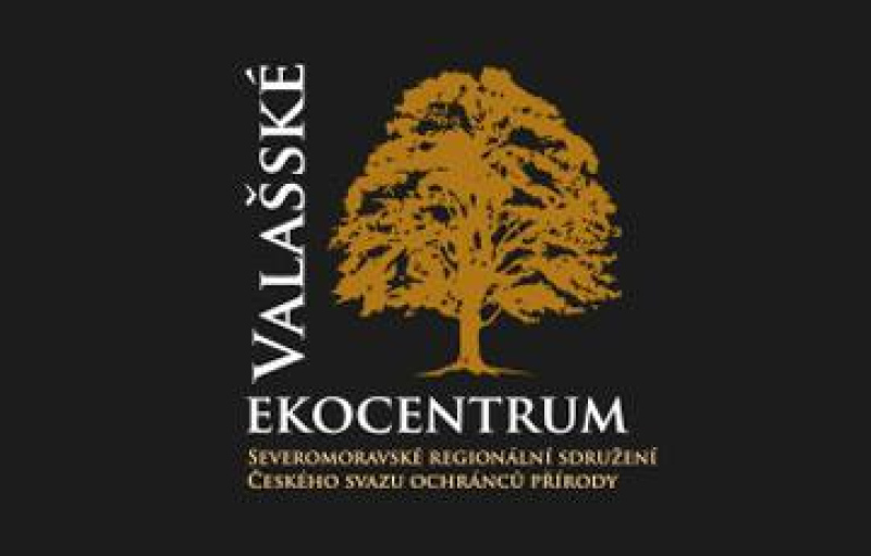 Pozapomenuté valašské bylinky