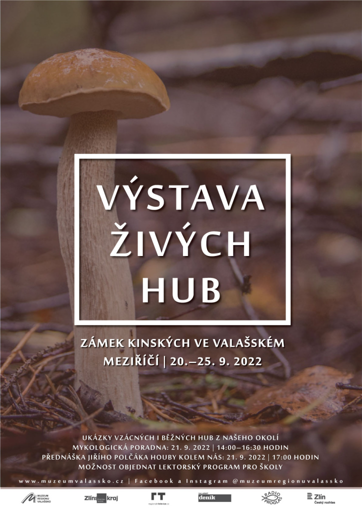 Výstava živých hub