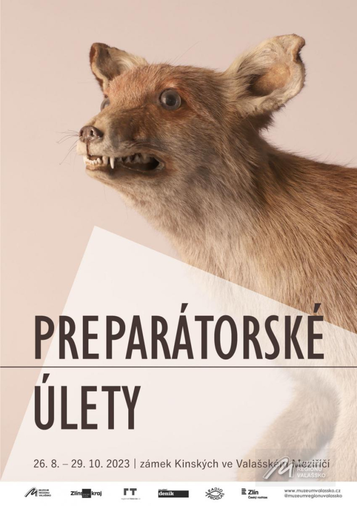 Preparátorské úlety