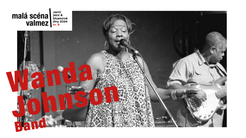 Wanda Johnson Band (USA)