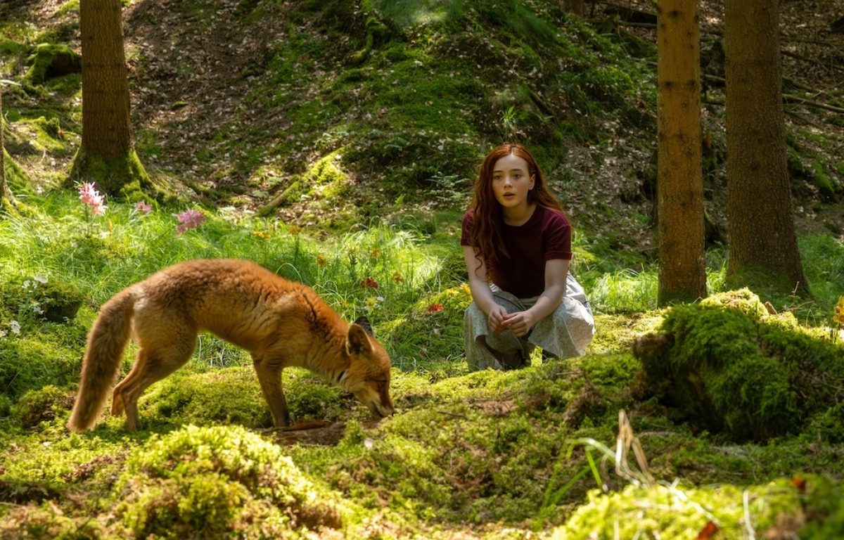 Dívka jménem Willow