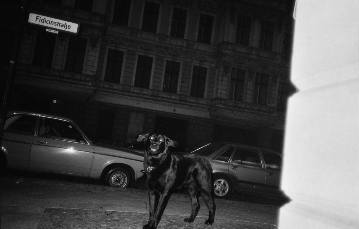 Ještě nejsem kým chci být