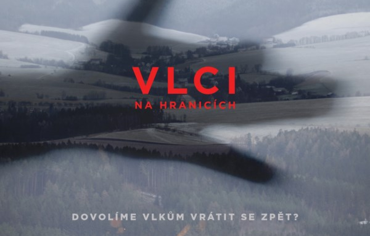 Vlci na hranicích